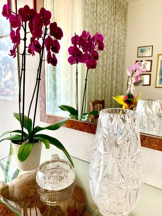 Bed & Breakfast Acquamarina Castro  エクステリア 写真
